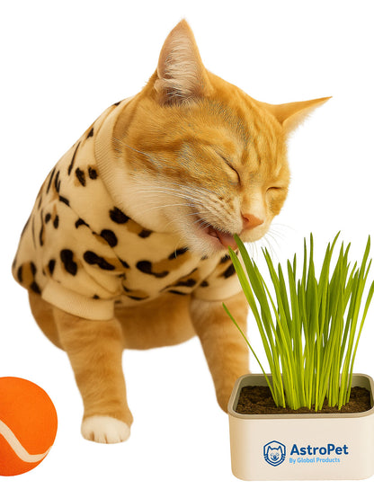 Leopard Print Cat Sweatshirt – Thermal-Lined Crewneck